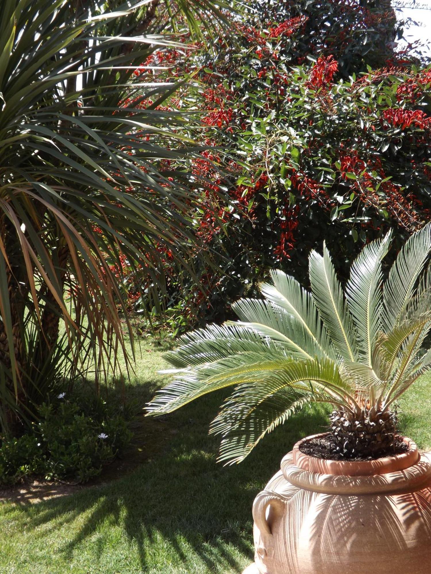 Le Anfore Hotel Villasimius Luaran gambar